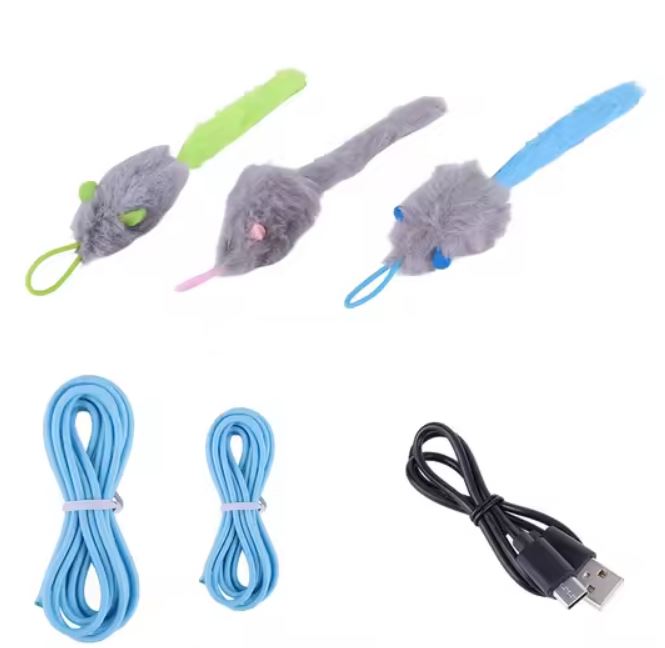 Accesorios de Regalo